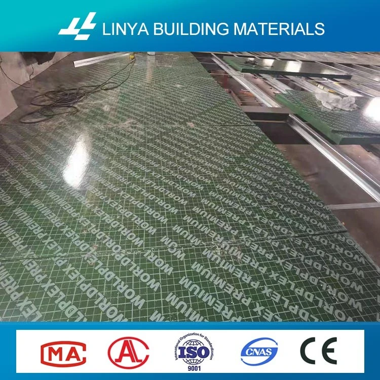 Plastic Film Faced Plywood best